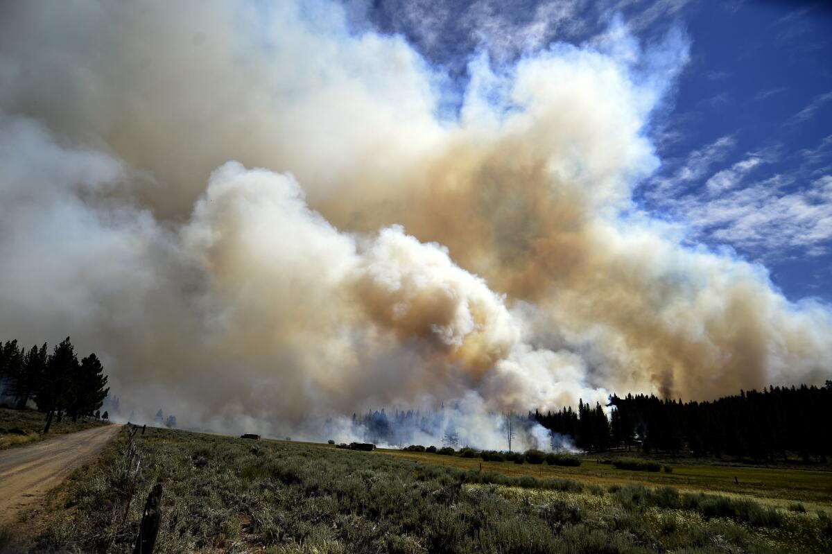 Smoke billows from the Sugar fire near Doyle, Calif.