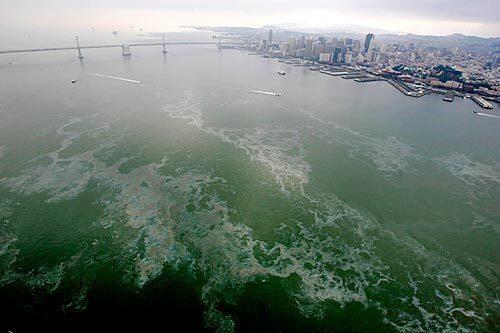 San Francisco Bay oil spill