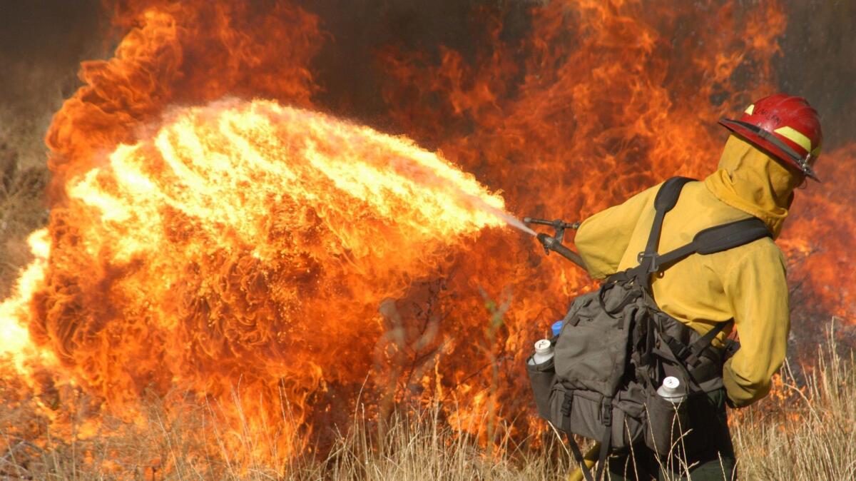 Jamie Larsen uses a fire wand during a prescribed burn in the North Fork Corridor of the Shoshone National Forest in Wyoming on Oct. 14, 2005. (Justin Lessman / Associated Press)