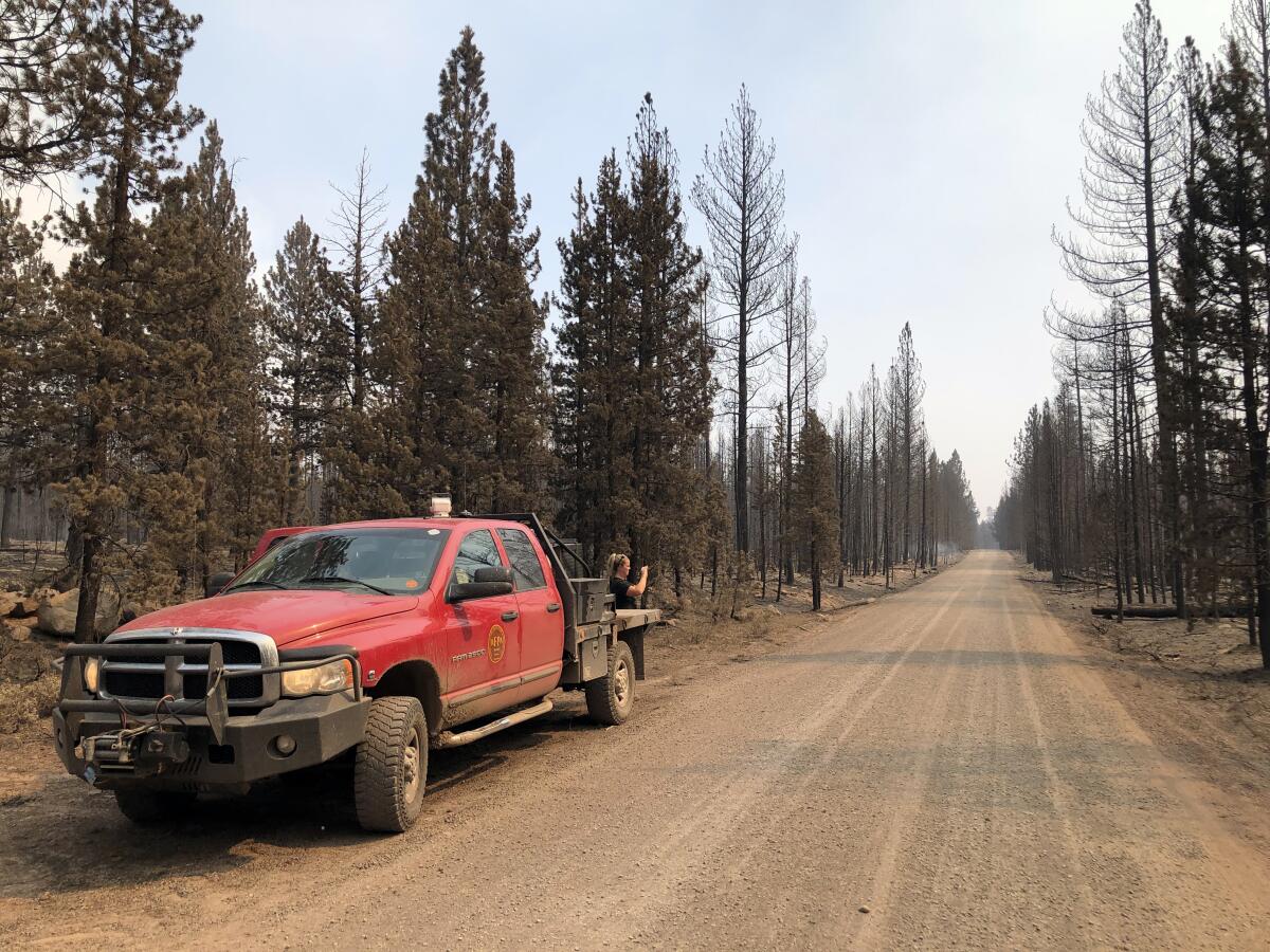 Erica Leehmann checks forest damage on the rim above Summer Lake.