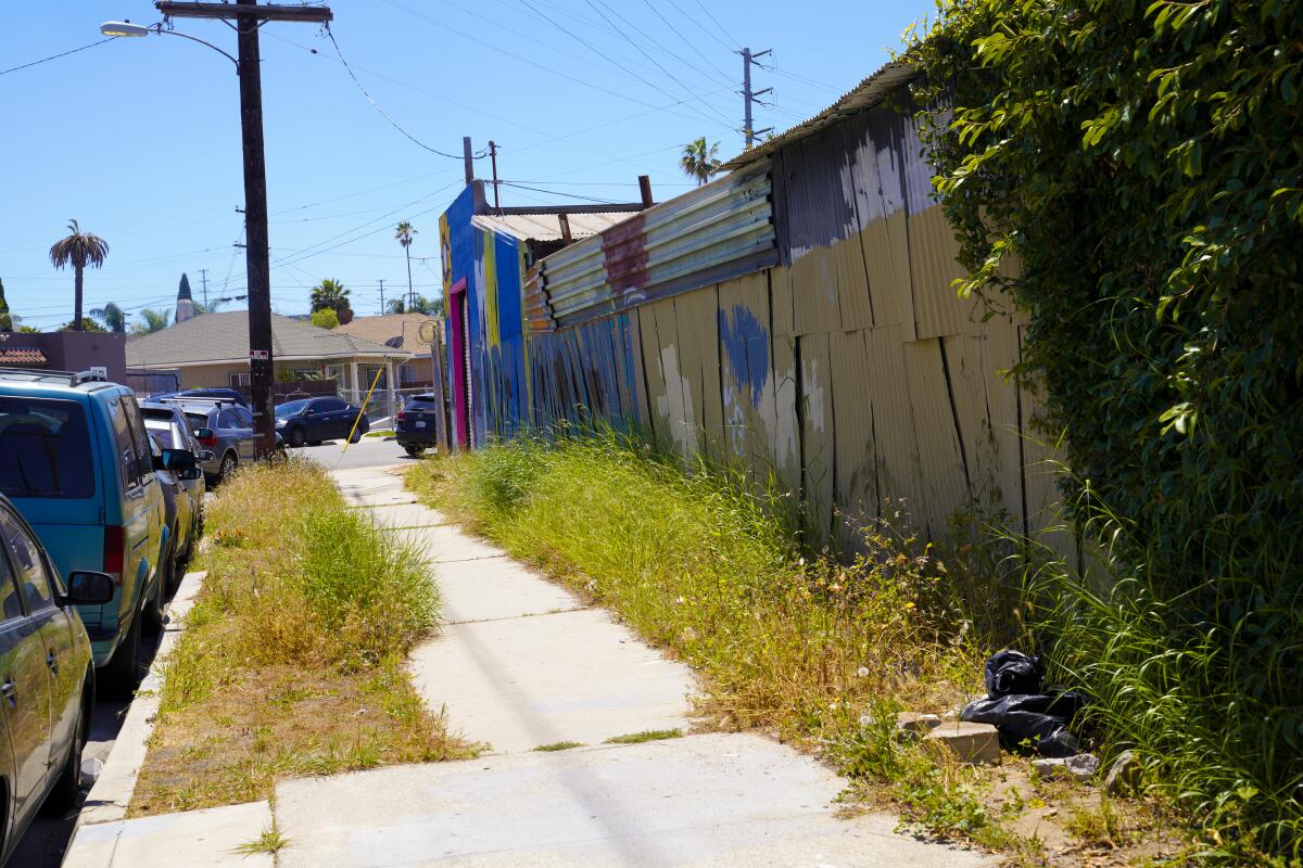 John Mireles points out a section of grass along Commercial Street and Evans Street in need of cutting.