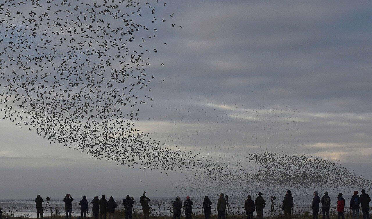 Pictures of the Day - Feb. 12, 2016