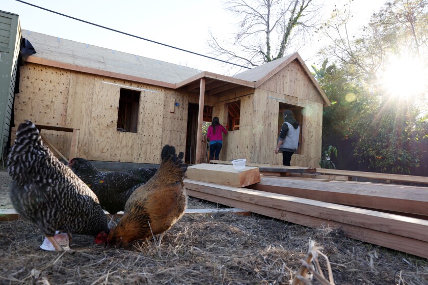 Two people walk to a home under construction as chickens peck at the grass
