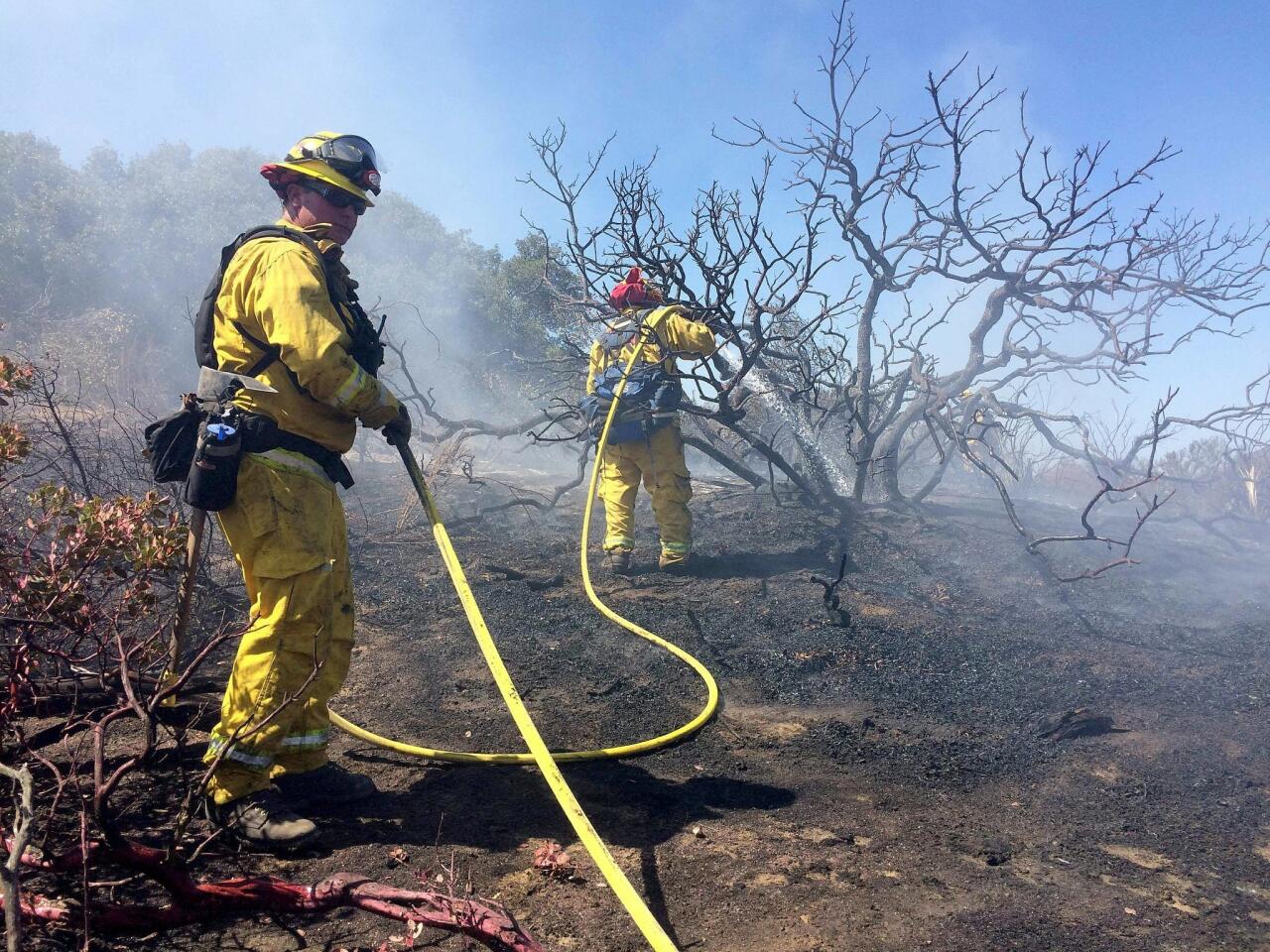 CalFire firefighters mop up a a brush fire south of I-8 at Willows Road.