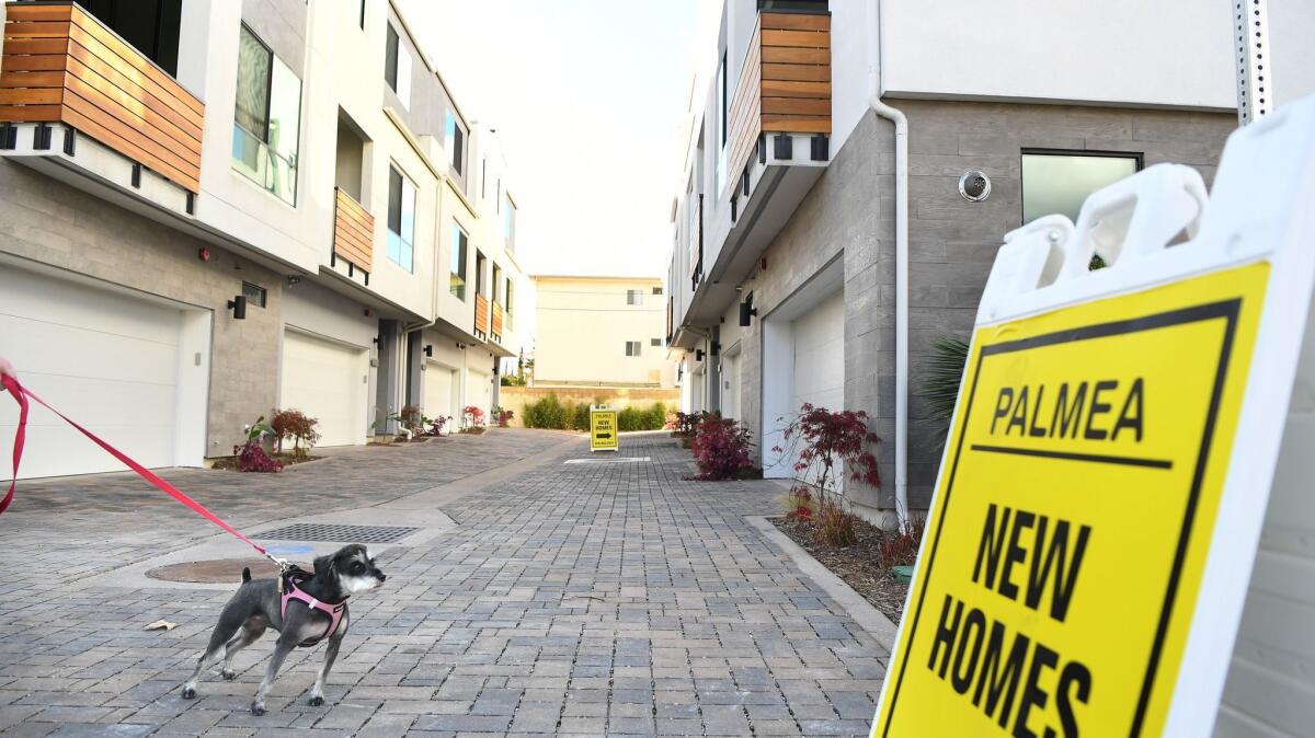 A dog and its owner walks by a new housing development in North Hollywood.