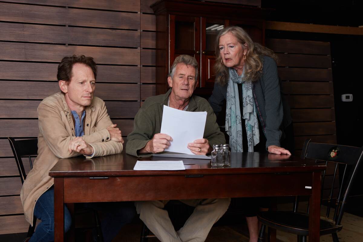 Leo Marks, left, Andrew Barnicle and Linda Gehringer star in North Coast Repertory Theatre's "The Outgoing Tide."
