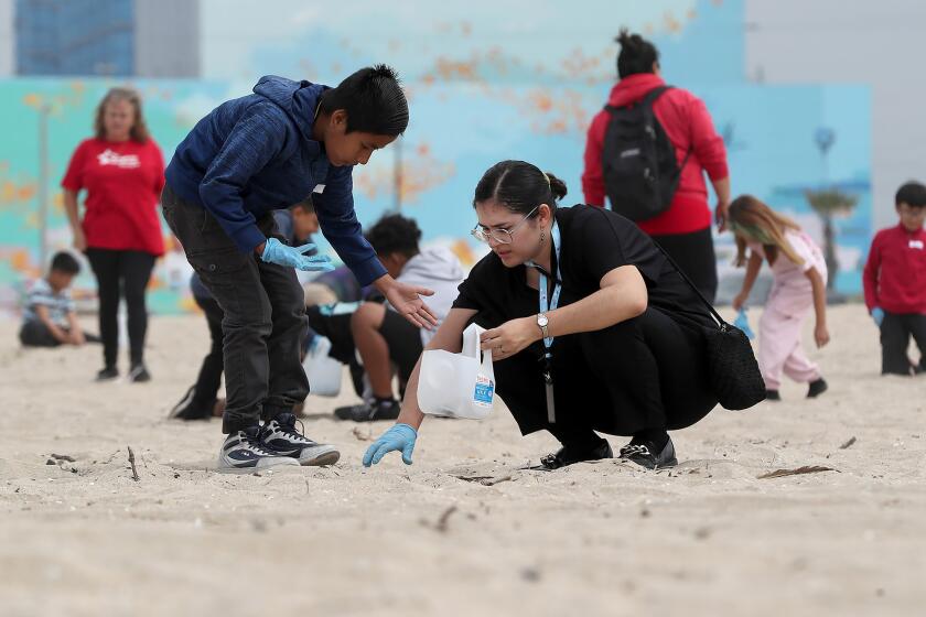 Kids and volunteers from Pio Pico Elementary pick non-organic materials from the sand during the Orange County Coastkeeper's, Kids Ocean Day, "Make Ripples of Positive Change" beach clean-up at Huntington State Beach at Magnolia St. in Huntington Beach on Tuesday.