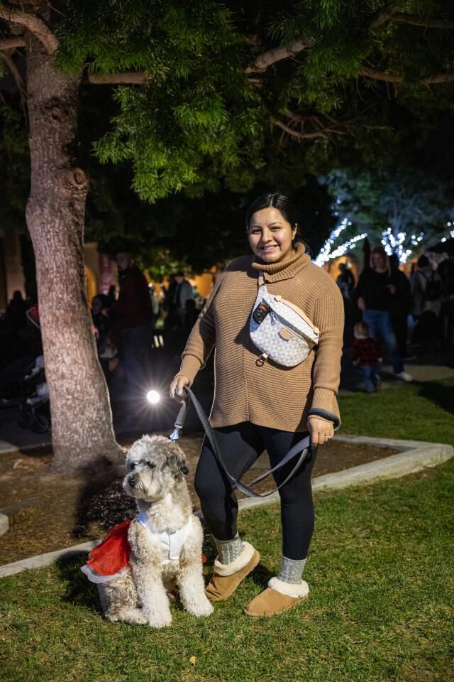 Photo gallery Liberty Station holiday tree lighting Point Loma & OB