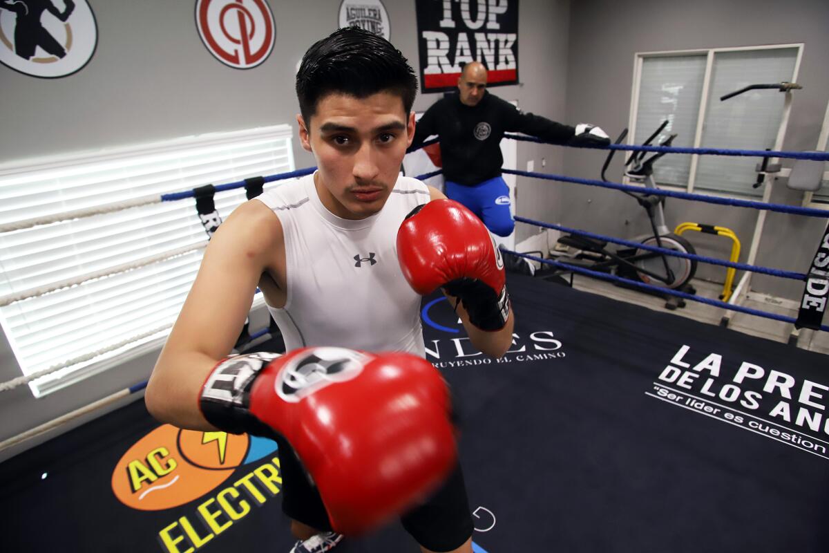 ¿Quién es el prospecto salvadoreño Sam Contreras Jr., sparring de Manny ...