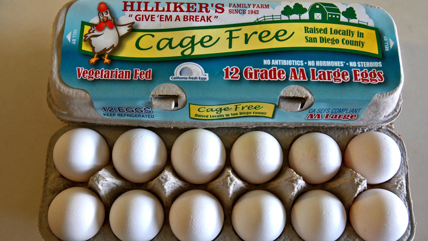 Cage-free egg production in San Diego County