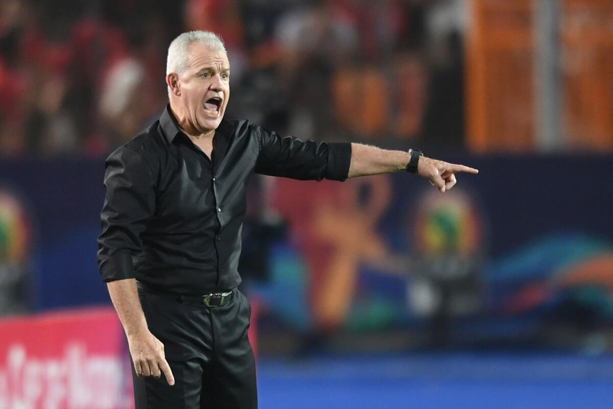 (FILES) In this file photo taken on July 06, 2019 Egypt's coach Javier Aguirre 