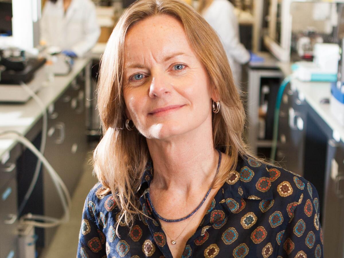 Anne Bang is part of a “COVID-19: The Way Forward” panel online March 23.