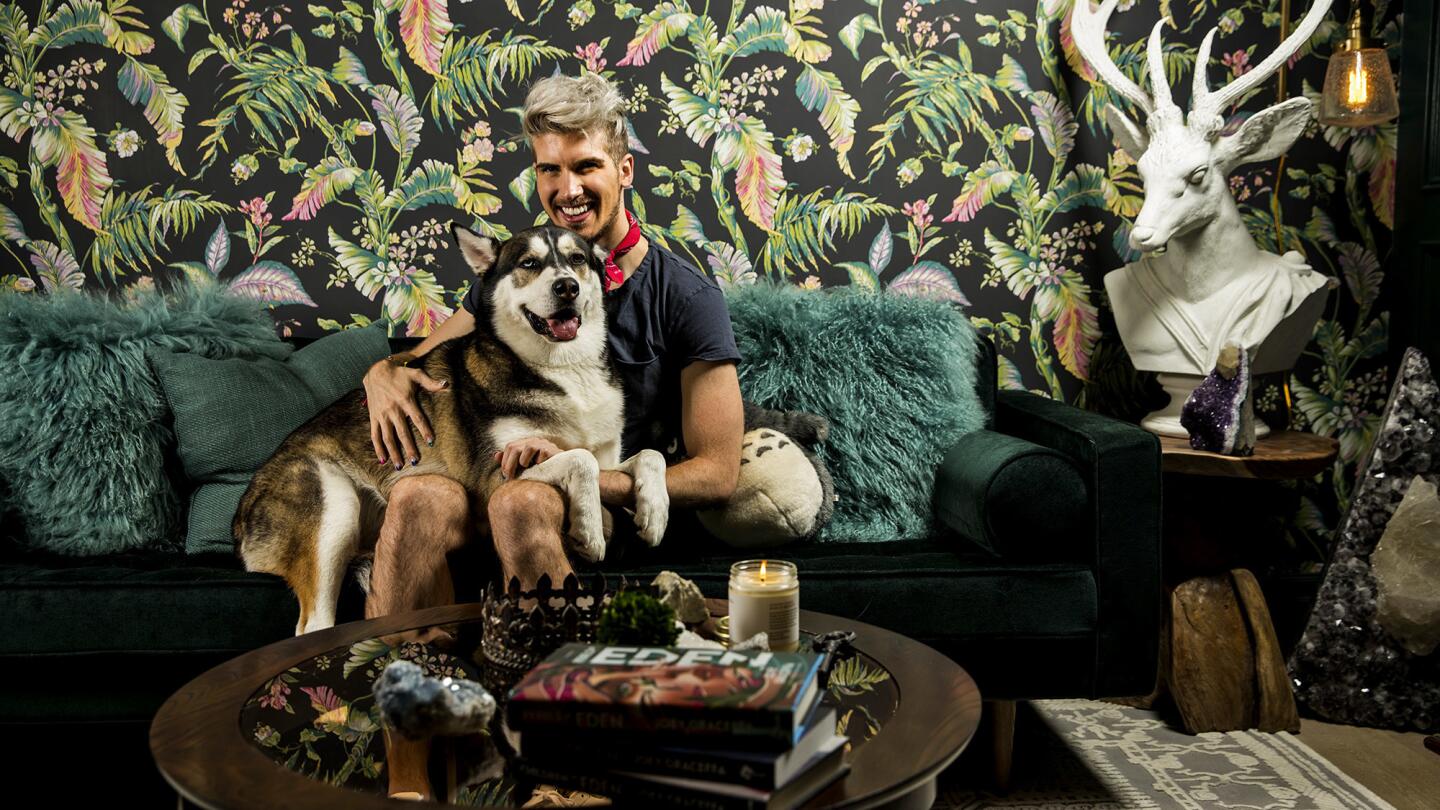 Surrounded by leafy wallpaper and woodsy touches, Joey Graceffa and his husky Wolf relax in what was once his home office.