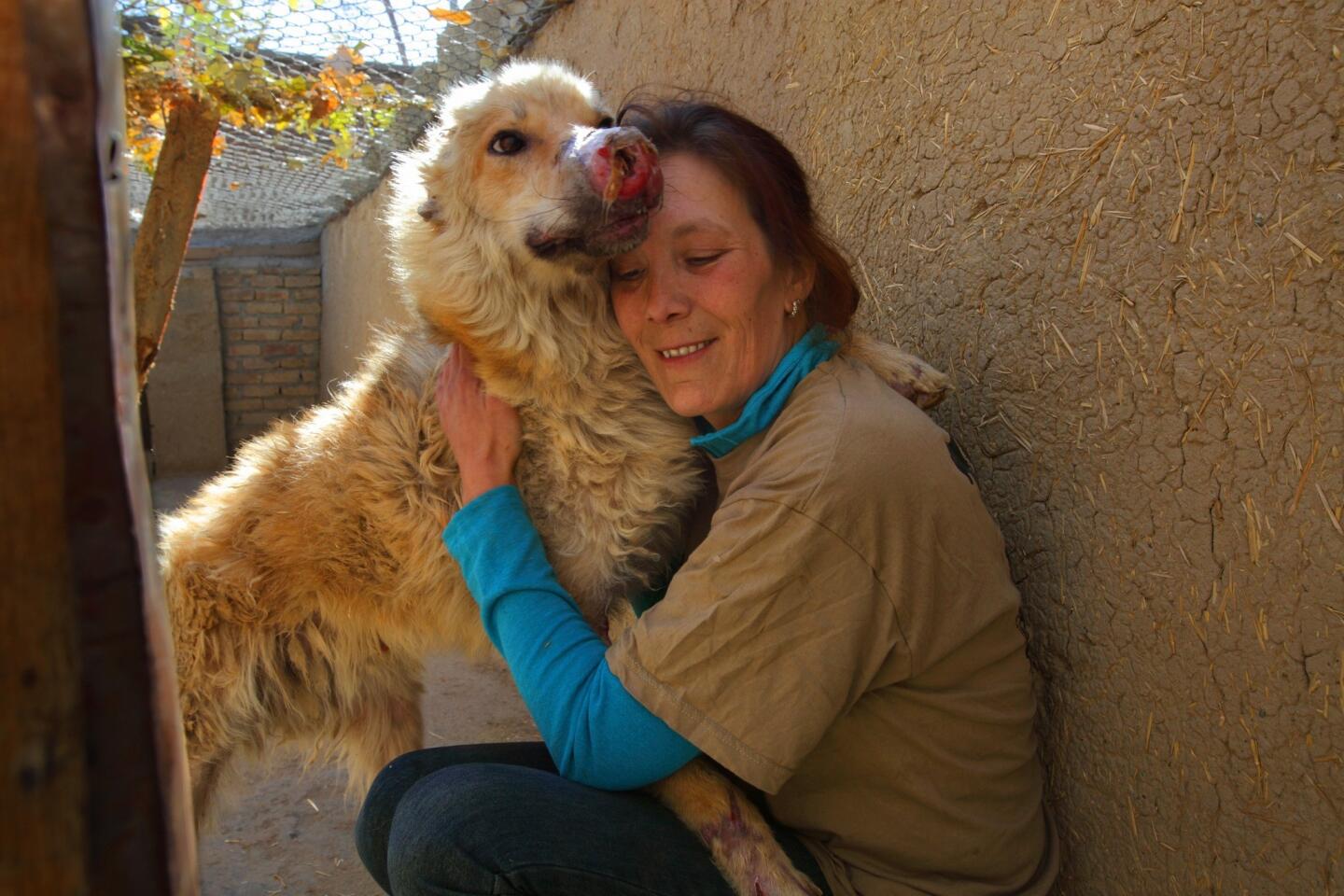 Louise Hastie, a former British soldier, runs Nowzad, a charity that reunites Afghan pets with Western soldiers and contractors who can't bear to leave them behind. All of the dogs adopted are strays, like Joey, who suffers from sores on his nose and paws, but is getting much better, according to Hastie, who has become very close to the dog.
