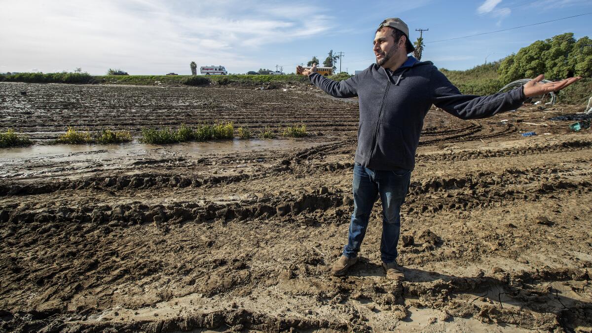 Growing Efforts to Protect Agriculture in the Santa Clara Valley