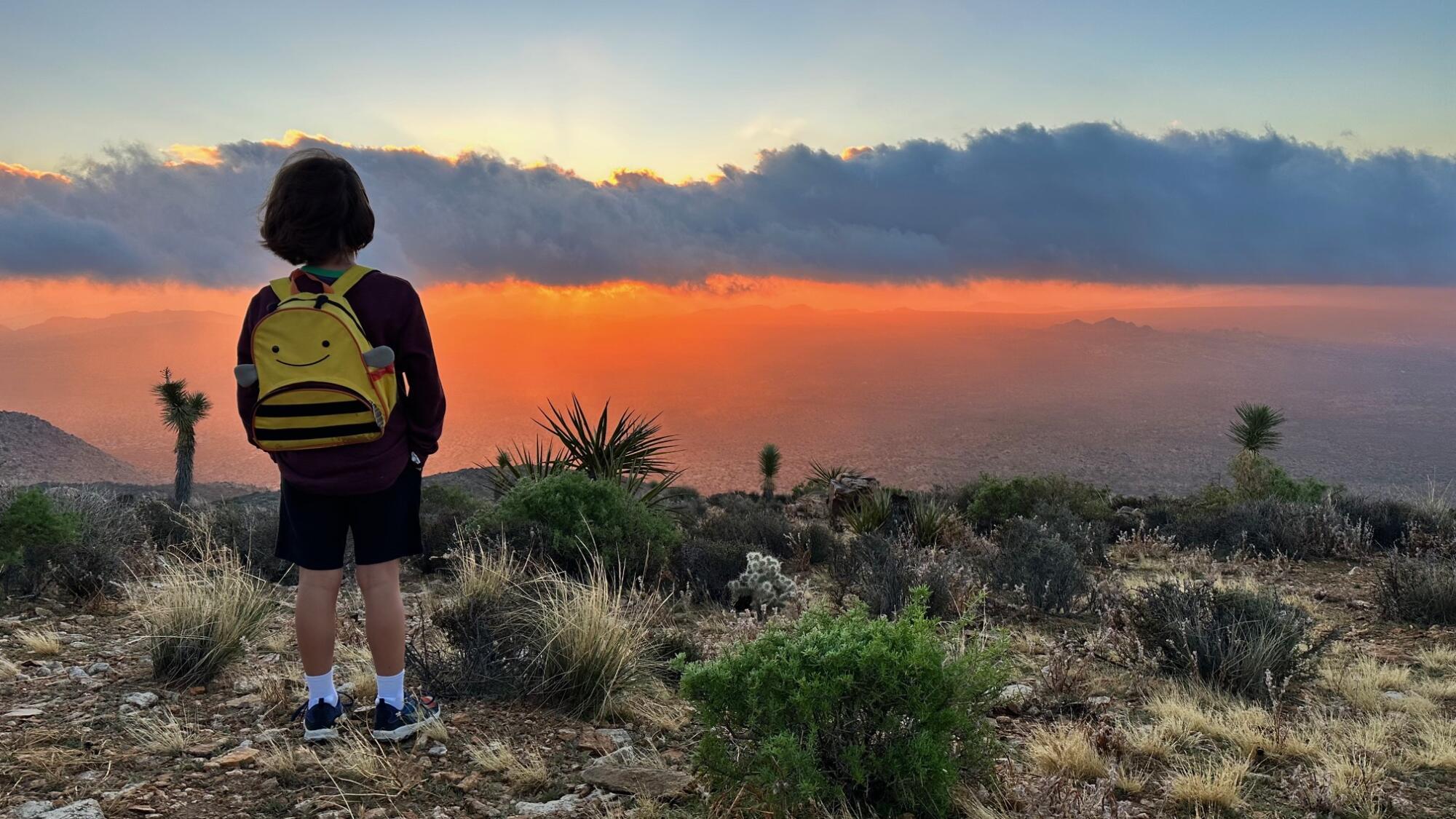 A smiling boy with a backpack of bees looks away from the camera and toward the sunrise in Joshua Tree National Park