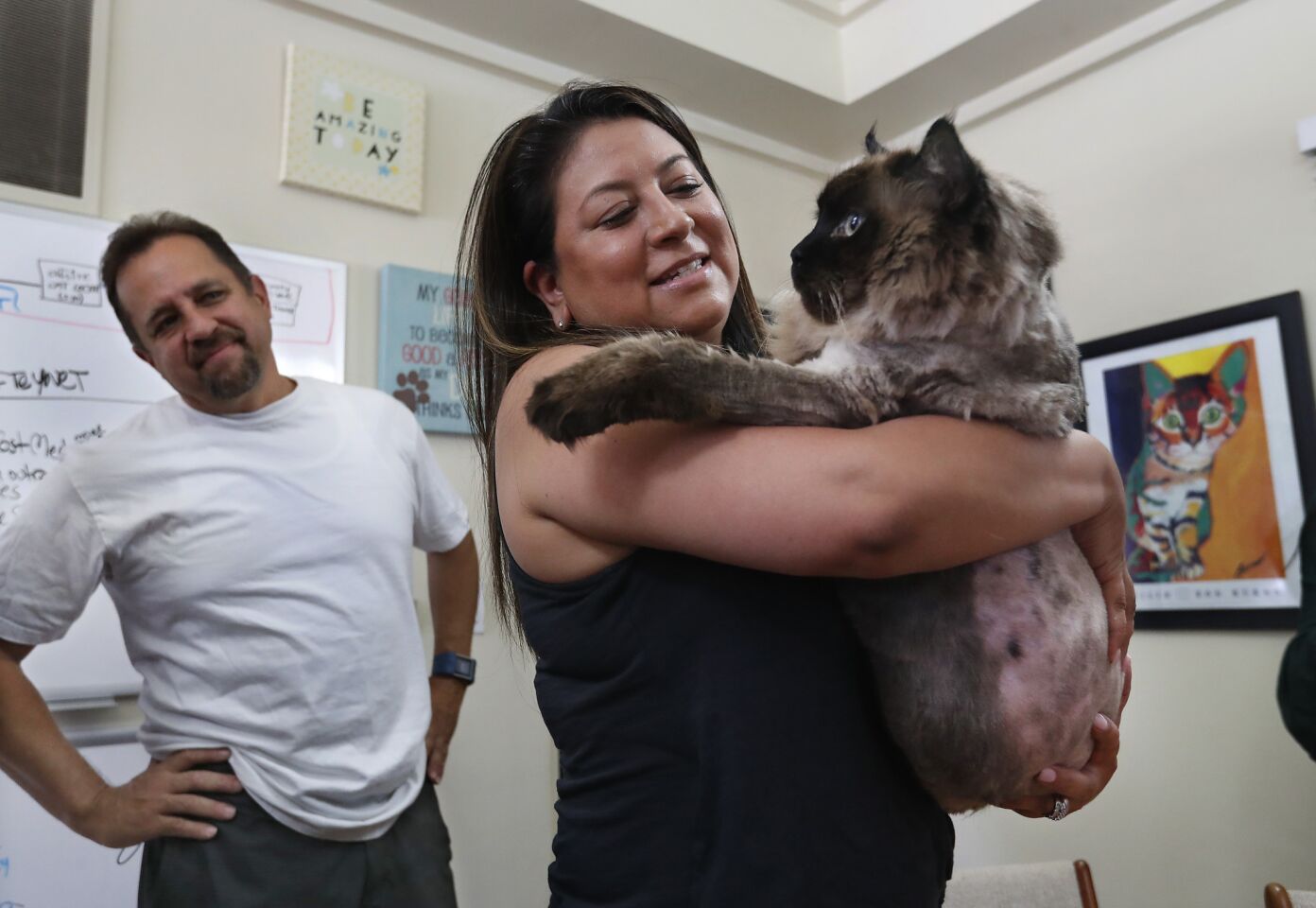 Yvette Viola of Monrovia holds Chubbs for the first time before adopting him at the Pasadena Humane Society. The cat, who was found walking along an Altadena street, weighed 29 pounds when he arrived at the shelter.