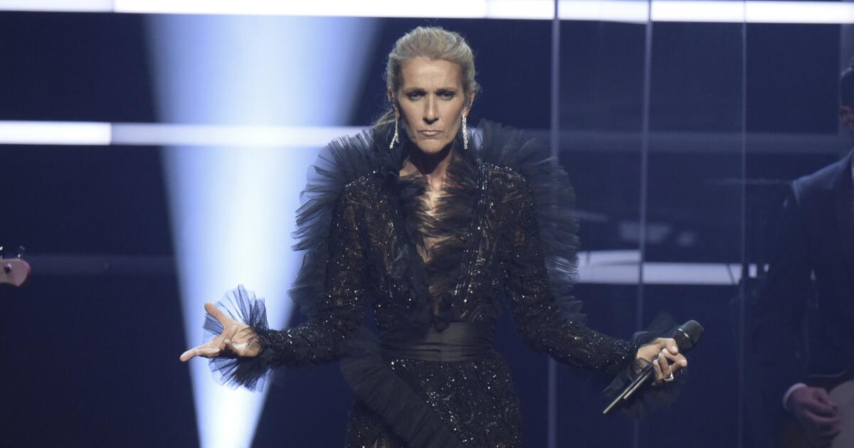 Photos of Céline Dion's Best Outfits of 2019