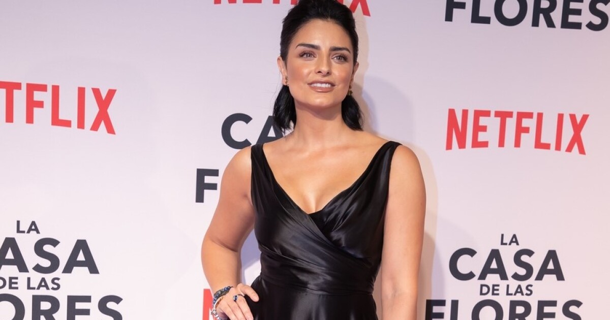 Introduces Aislinn Derbez to her new boyfriend