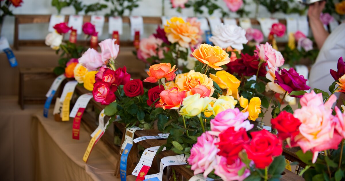 Coronado Flower Show to celebrate 100 years of beauty