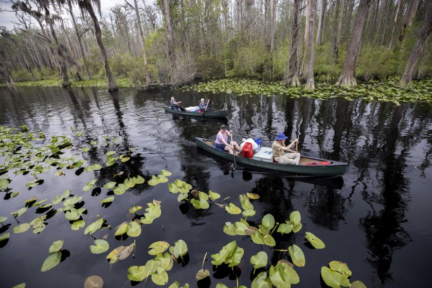 FILE - A group of visitors return to Stephen C. Foster State Park after an overnight camping trip on the Red Trail in the Okefenokee National Wildlife Refuge on April 6, 2022, in Fargo, Ga. A member of President Joe Biden's cabinet urged Georgia officials in a letter dated Nov. 22, 2022, to deny permits for a proposed mine near the edge of the famed Okefenokee Swamp and its vast wildlife refuge, saying the plan poses “unacceptable risk” to the swamp's fragile ecology. (AP Photo/Stephen B. Morton, File)