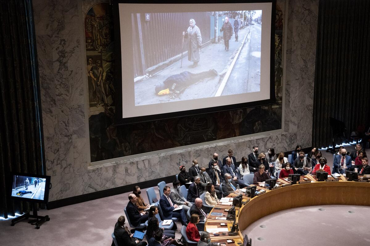 An image from Ukraine being shown to the United Nations Security Council