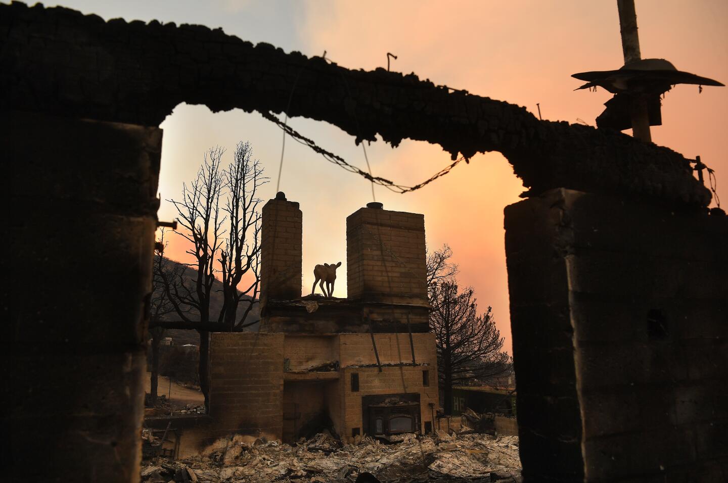 A burned house in Juniper Hills