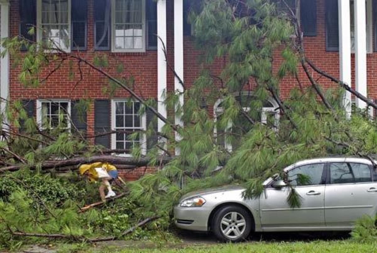 Climbing under a fallen tree, Lisa Gardner calls her insurance company to report damage to her home in Baton Rouge, La., after Hurricane Gustav tore through the Gulf Coast.