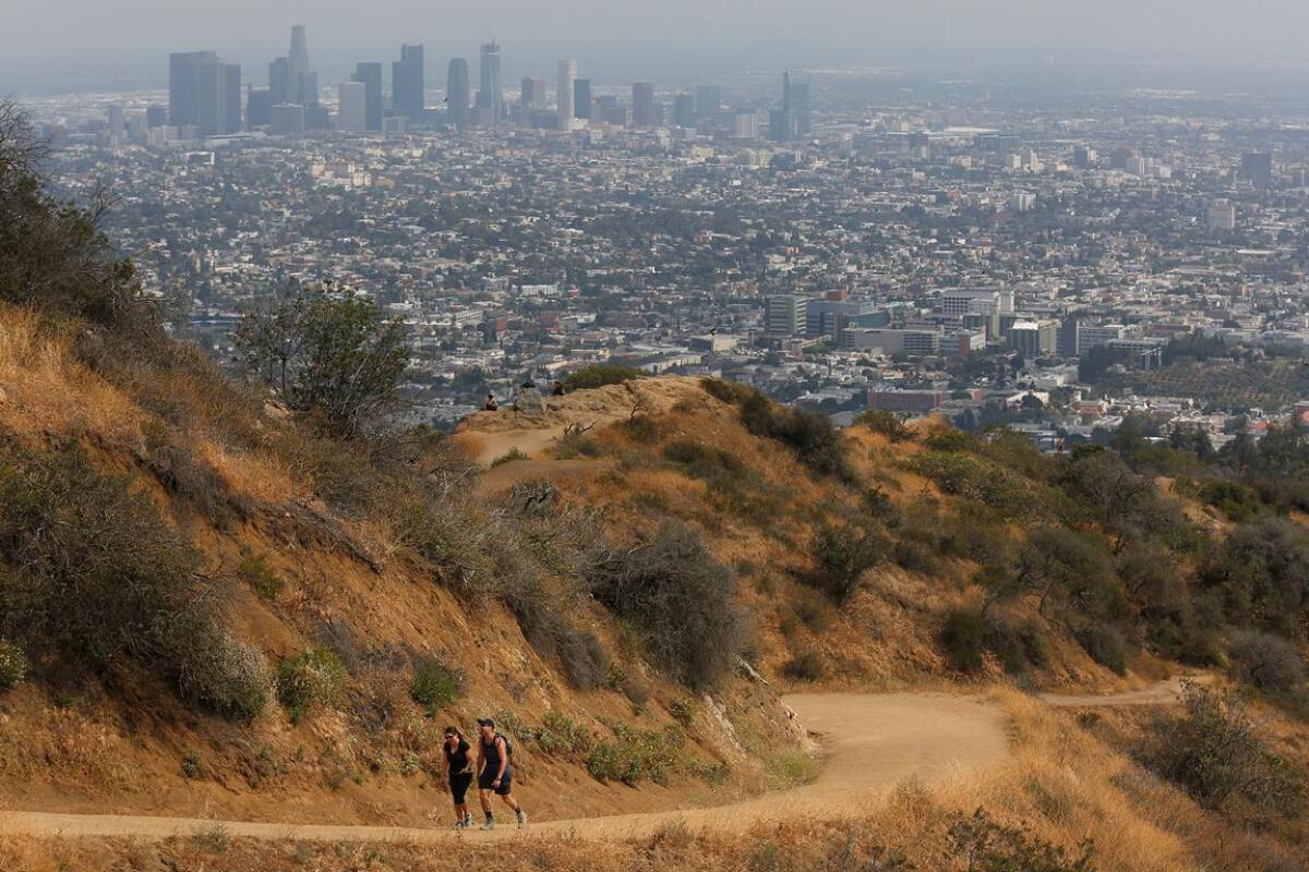 Leave the shopping frenzy behind on Black Friday. Take a ranger-led walk in Griffith Park (shown here) and other places in Southern California on Friday.