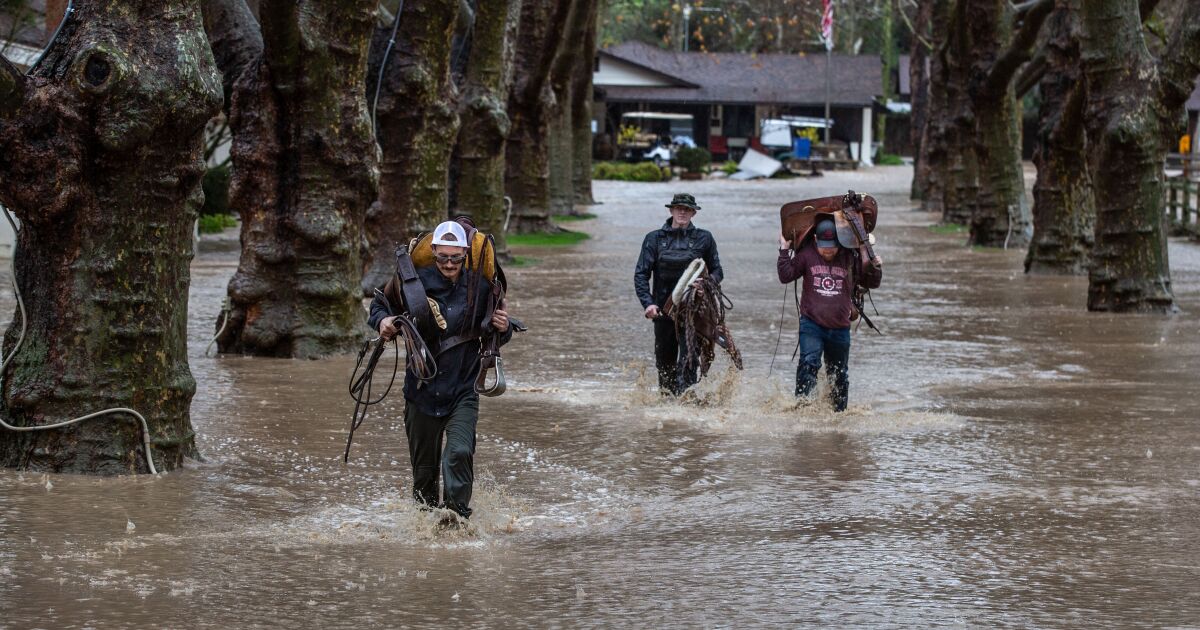 Northern California storm brings thunder, wind and heavy rain Northern California storm brings thunder, wind and heavy rain