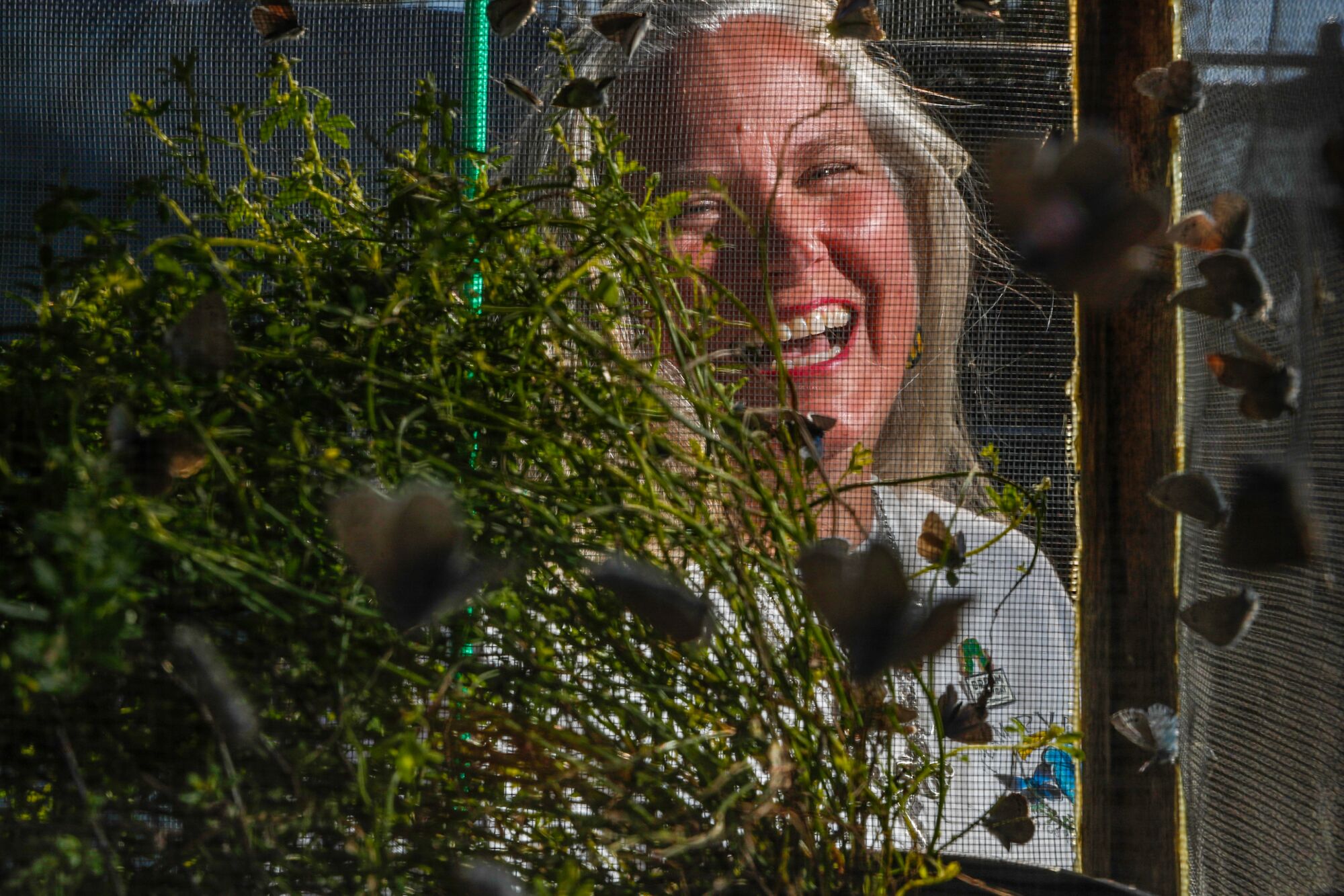 Jana Johnson standing behind a cage of butterflies.