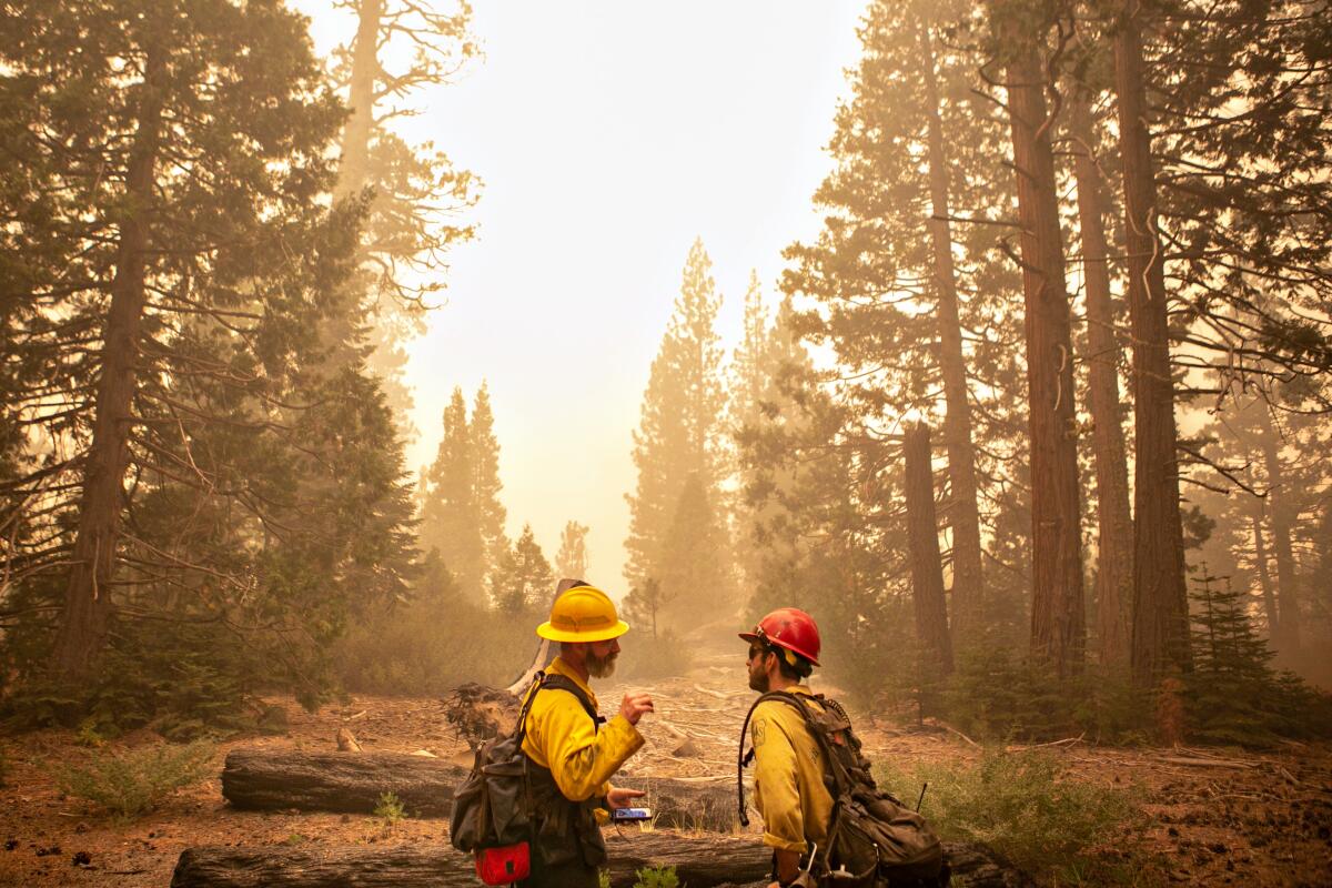 Firefighters Casey Hoffman and Jeff Mabe moniroe the Caldor Fire.