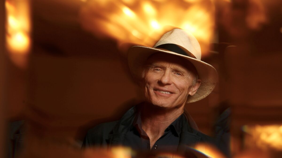 Actor Ed Harris stars in HBO's new series, "Westworld".