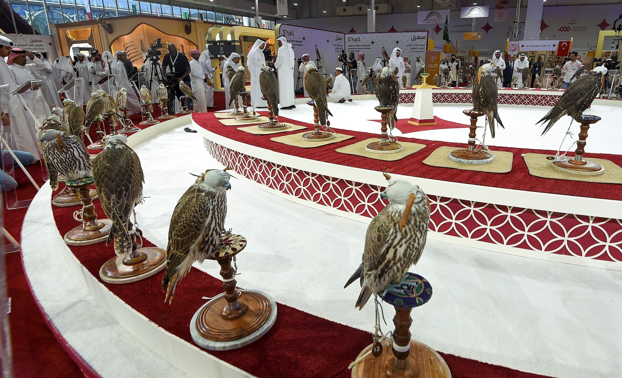 Falcons are displayed at the sixth edition of Katara International Hunting and Falcons Exhibition 2022.