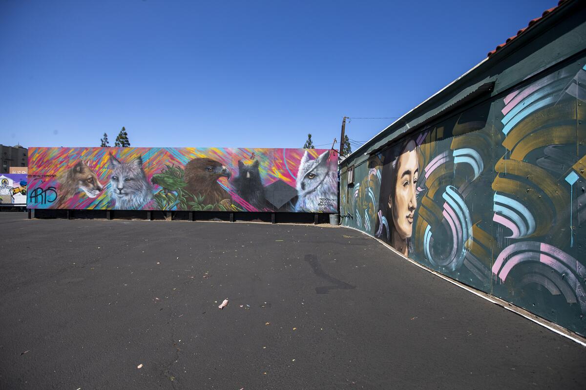 The Blue Lot in Santa Ana has several new murals and improvements including a paved lot and security fencing.