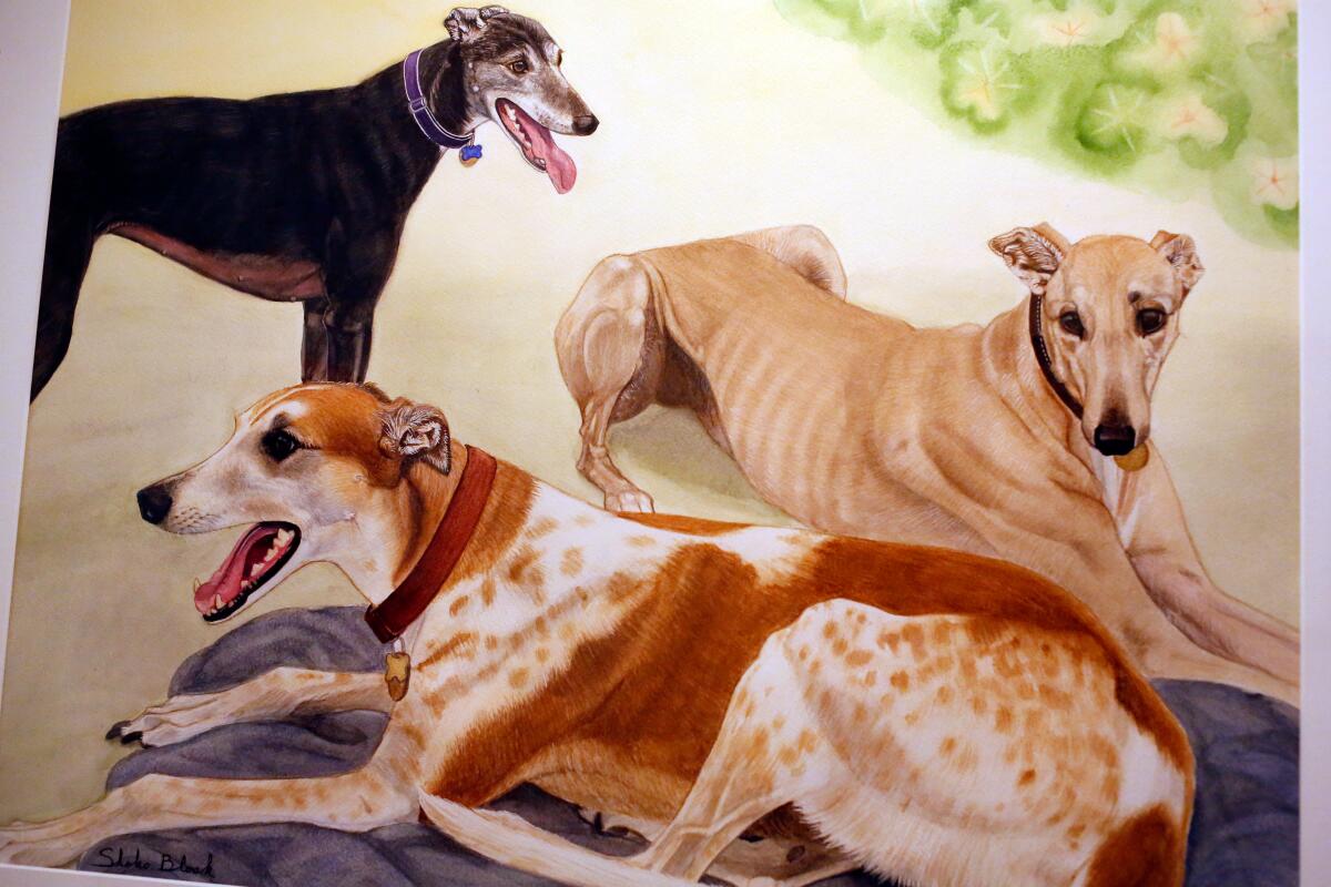 A framed watercolor of three of Tim Lignoul's greyhounds, from left, Kimberly, Grace and Grover, all different colors.