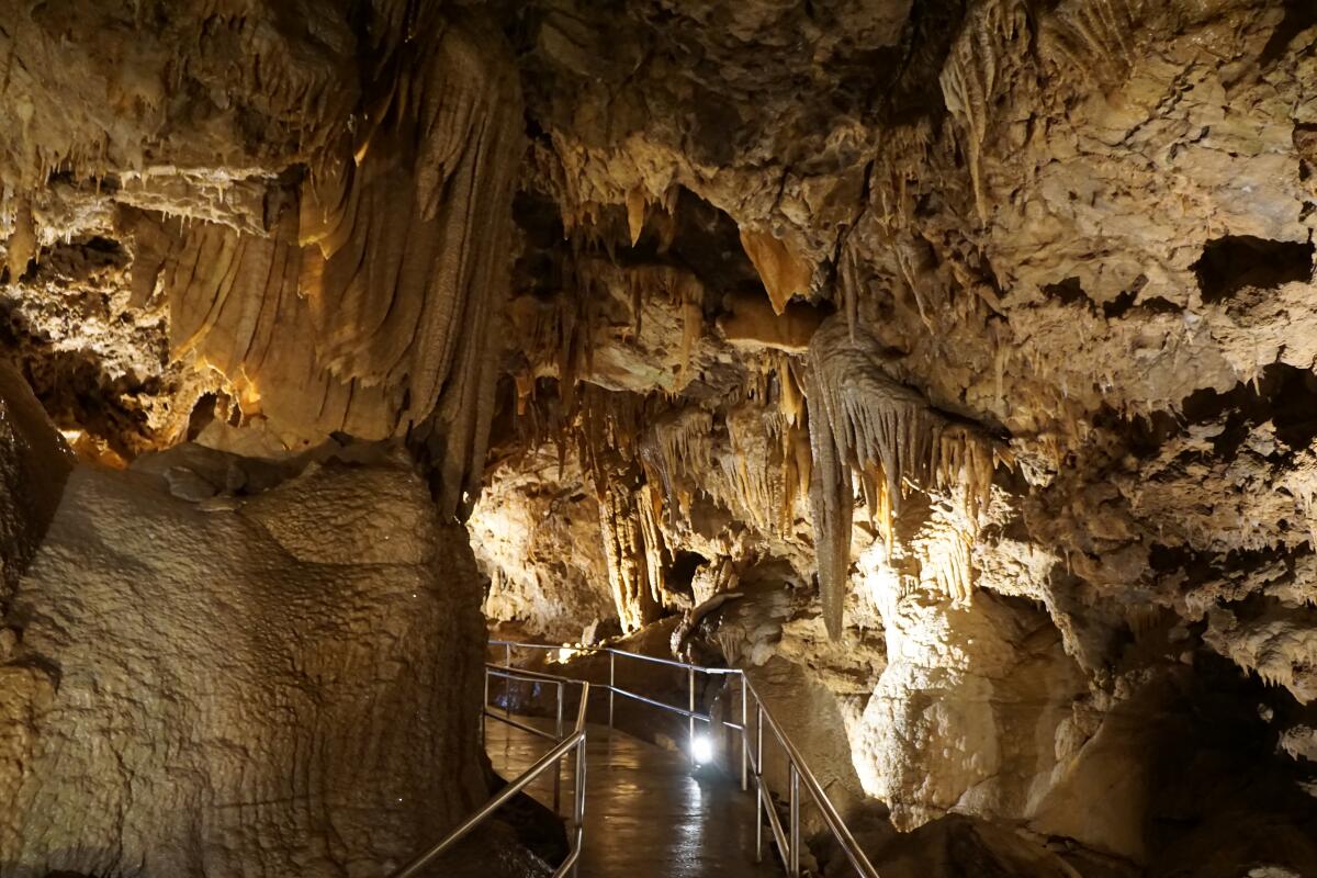 Shasta Caverns.