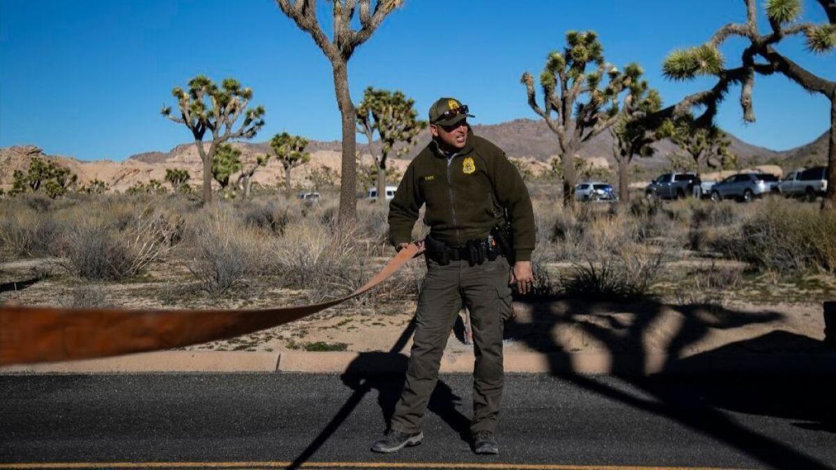 Park Ranger Dylan Moe closes the access road to a campground at Joshua Tree National Park on Jan. 2. All of the park's campgrounds have been closed because of the partial government shutdown.