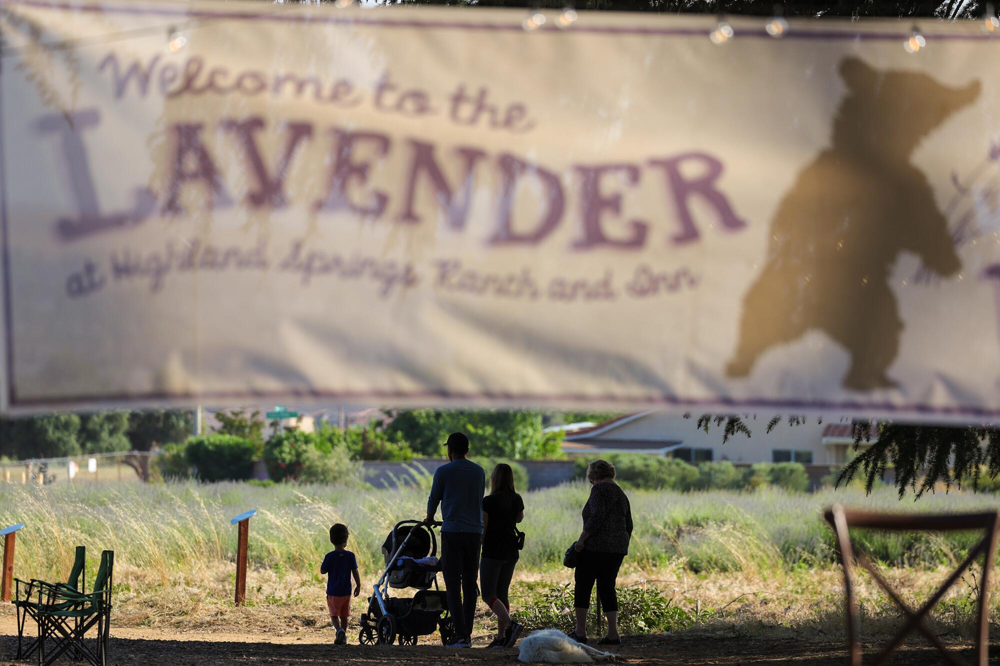 People walk under a banner that says "Welcome to the Lavender at Highland Springs Ranch and Inn"
