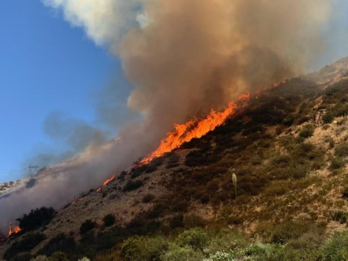 Brush fire off Interstate 15 