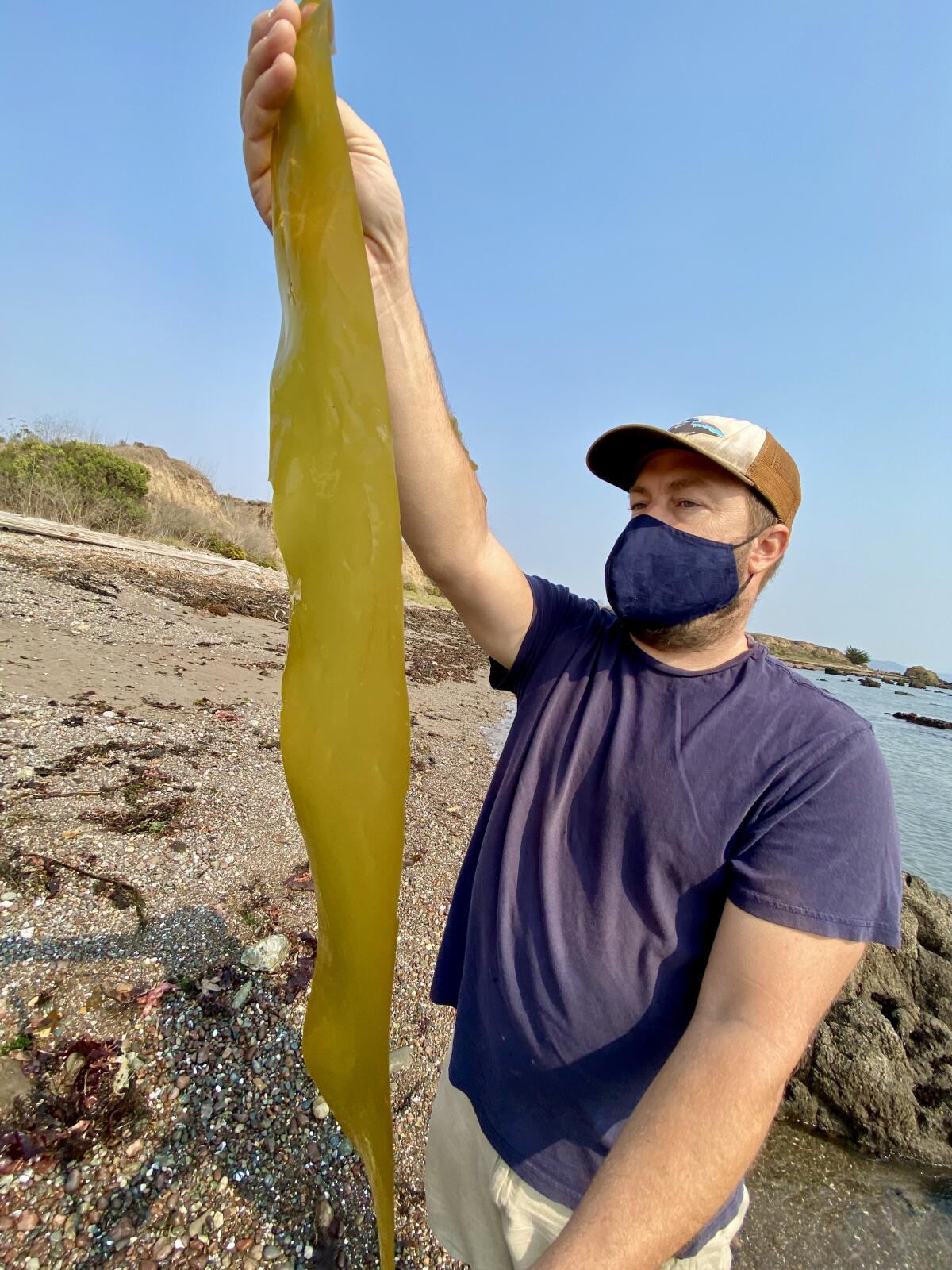 Marley holds bull kelp.