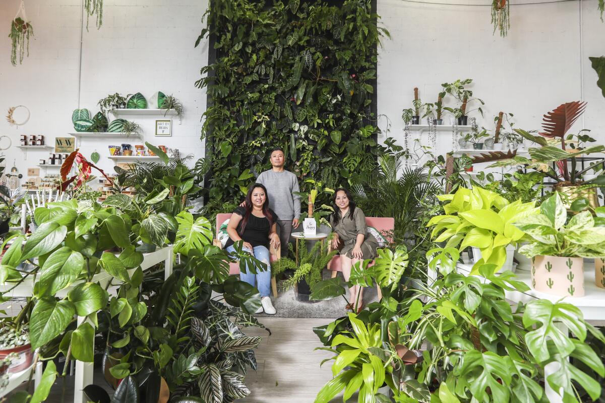 Two women and a man in front of a wall of greenery and surrounded by other plants