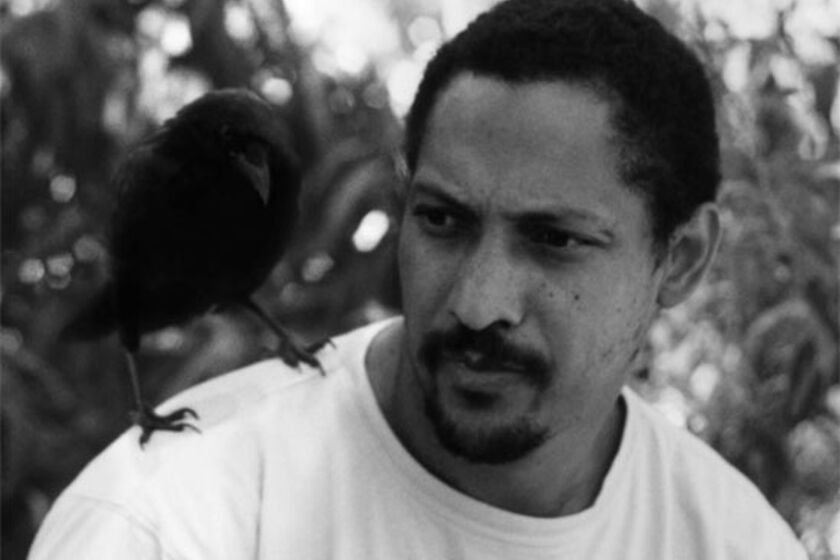 Percival Percival Everrett talks about new fall novel