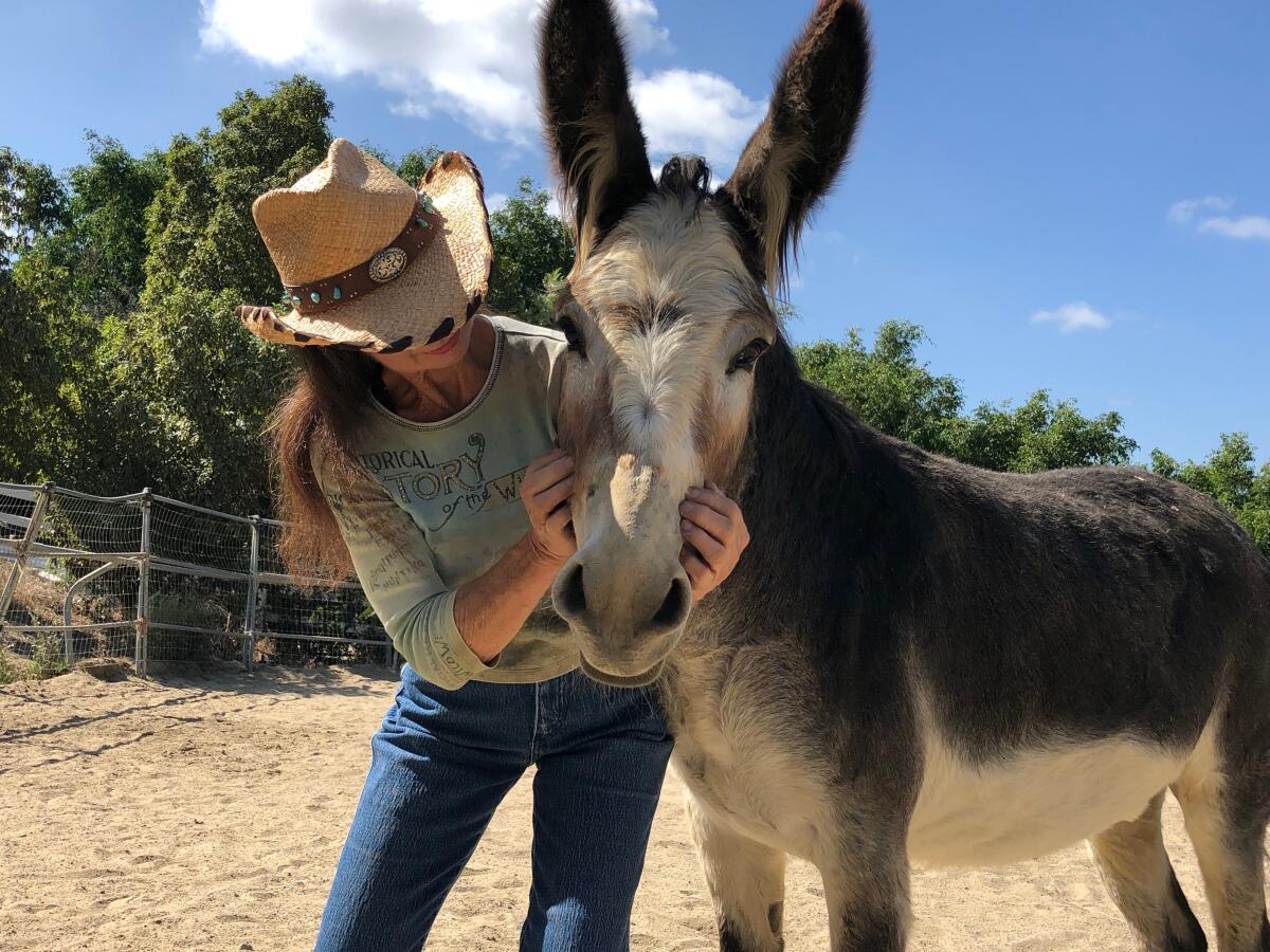 Celia Sciacca, pictured with one of two donkeys she takes care of on her ranch, hopes to draw more local support for the animals at Laughing Pony.