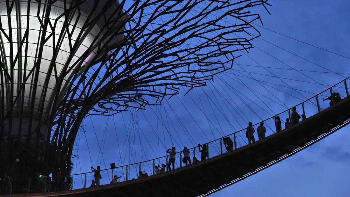 People take photographs on a suspension bridge along the Supertree at Gardens by the Bay in Singapore.