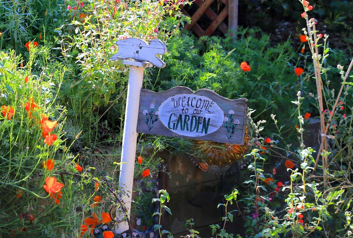 Viewers can follow a self-guided virtual tour of five gardens in East County.