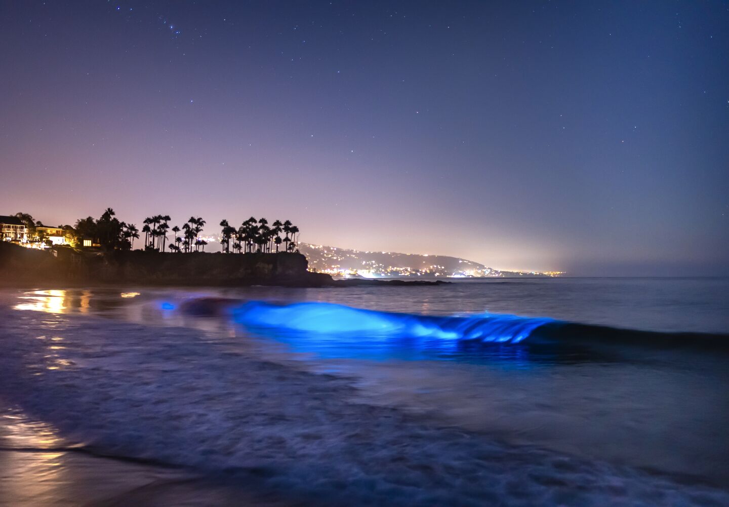 How to see the blue glow of bioluminescence in L.A. - Los Angeles Times
