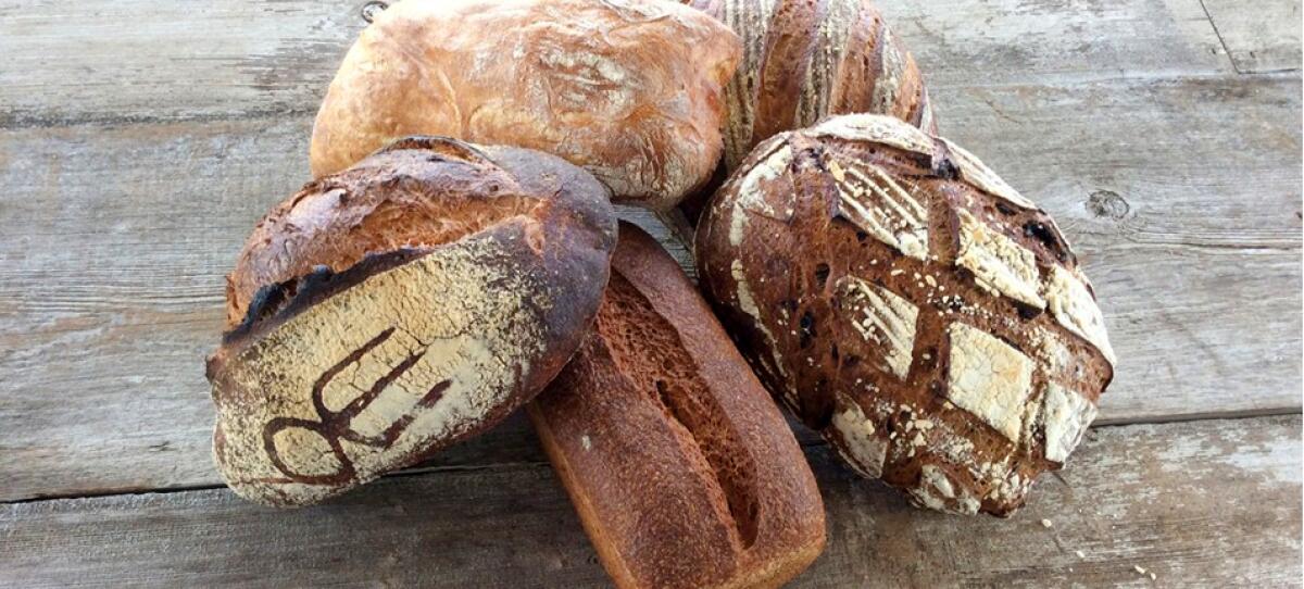 Various-shaped loaves of bread including one with a branding iron mark