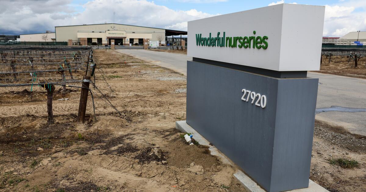 Wonderful Co. accuses UFW of fraudulent tactics in unionizing workers