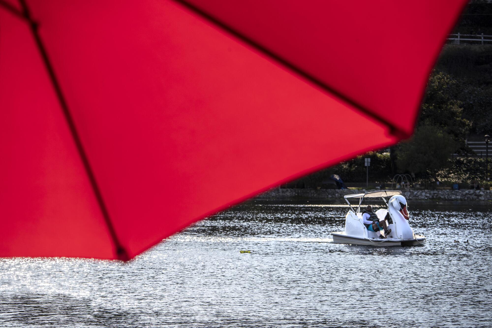 A swan boat in Echo Park lake under a red canopy